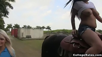 Wild College Orgy With Beautiful Women And A Big Cock